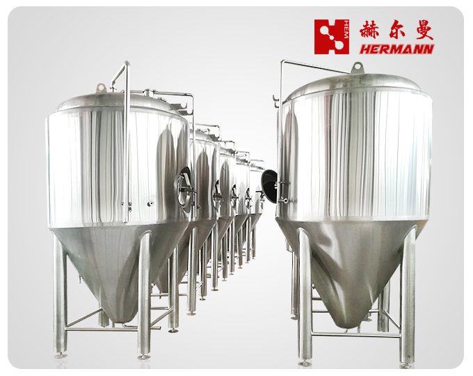 600L Microbrewery Fermenter