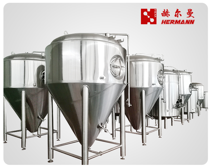 100L Beer Brewing Equipment