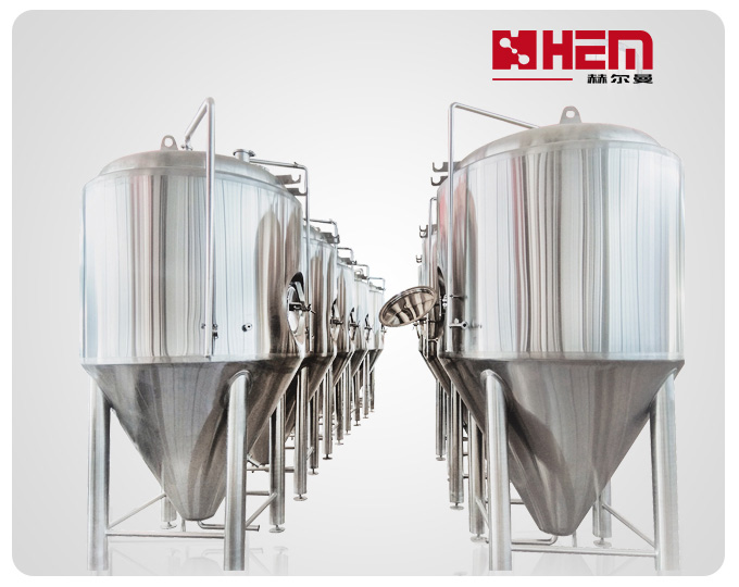 Hermann 120 Bbl Stainless Steel Fermenter